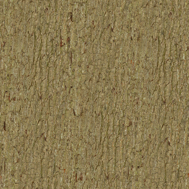 Bark 012 By Textures seamless PBR texture preview