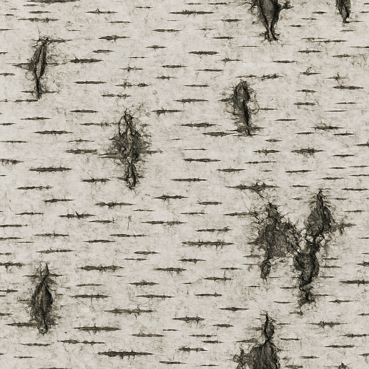 Birch Wood seamless PBR texture preview