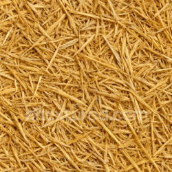 seamless Fresh Straw Seamless Texture texture 1024x1024 free download PBR
