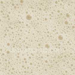 seamless Natural Foam Seamless Texture texture 8k free download PBR