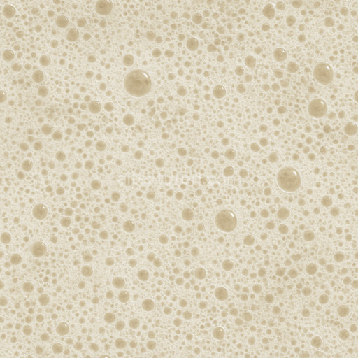 Natural Foam Seamless Texture
