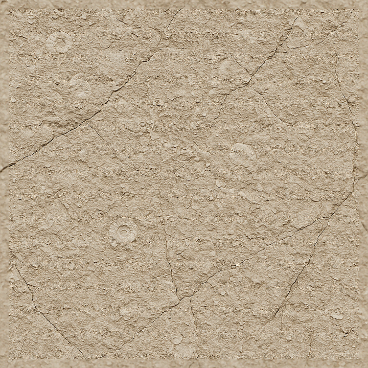 Fossilized Chalk Stone Surface With Detailed Embedded Fossils seamless PBR texture preview