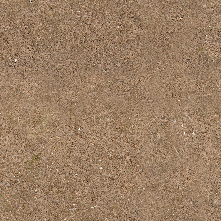 Pine Needles - Needles Forest Terrain Outdoor Natural Wood seamless PBR texture preview