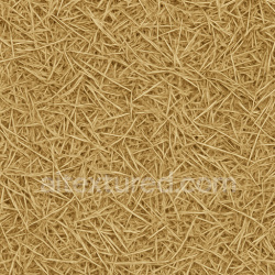 seamless Dull Straw Seamless Texture texture 1024x1024 free download PBR