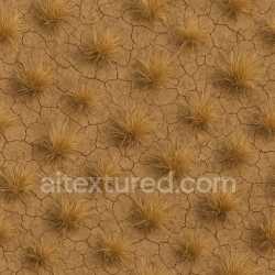 seamless Dry Savanna Texture texture 8k free download PBR
