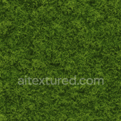seamless Smooth Forest Moss Texture Seamless 1024X1024 texture 1024x1024 free download PBR