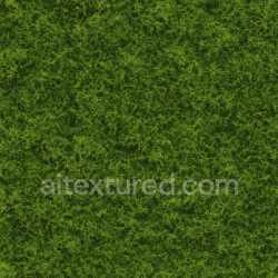 seamless Smooth Forest Moss Texture Seamless texture 8k free download PBR