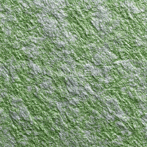 Seamless 3D Felt PBR Texture with Dense Green and White Wool Fibers