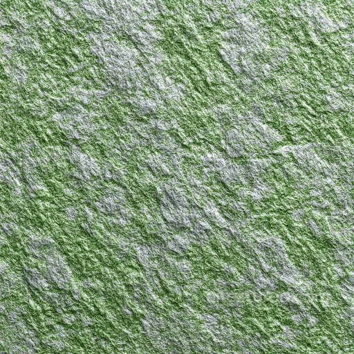 Felt PBR Texture with Dense Green and White Wool Fibers seamless Felt PBR texture