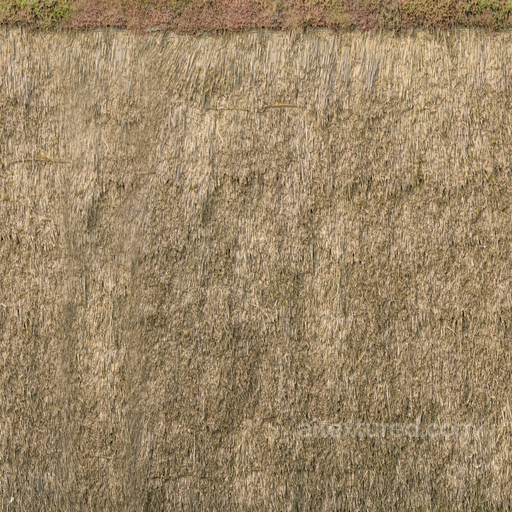 Reed Rough Village - Reed Roof Reed Rough Village Thatch seamless Roofing PBR texture