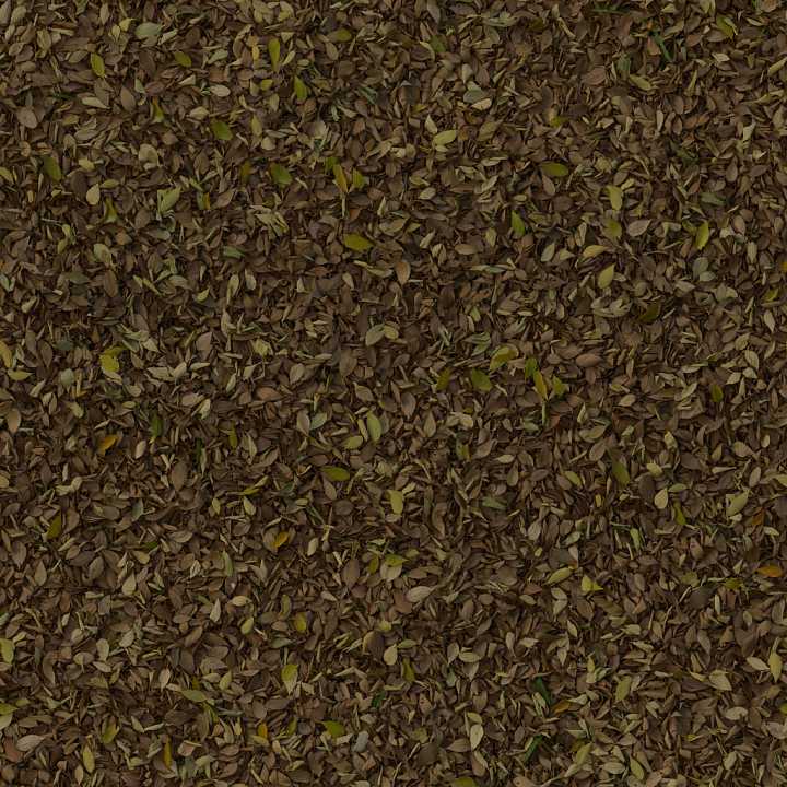 Brown Yellow Green - Leaves Autumn Dry Dry Nature Forest seamless PBR texture preview