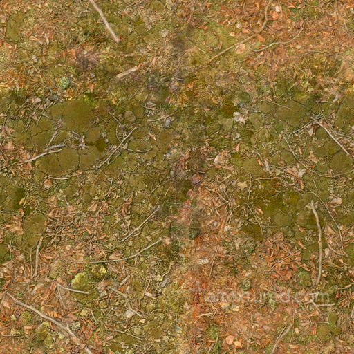 Leaves Twigs - Moss Sticks Leaves Twigs Autumn Mossy seamless Moss PBR texture