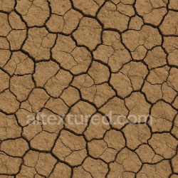 seamless Cracked Field Texture texture 1024x1024 free download PBR