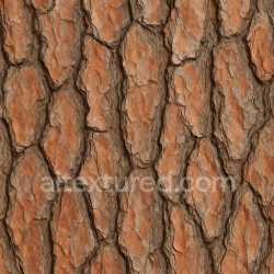seamless Decorative Pine Bark Texture Seamless texture 8k free download PBR