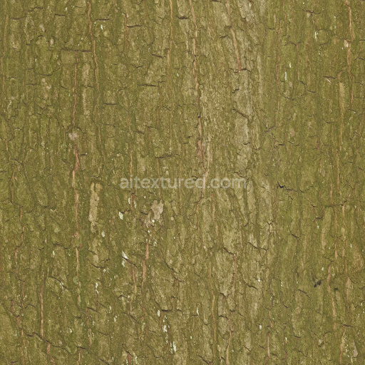 Bark Wood Tree Natural Organic Rough Textured Brown Seamless Pbr