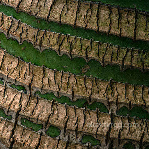 PBR Texture of Rough Aged Tree Bark seamless Wood PBR texture