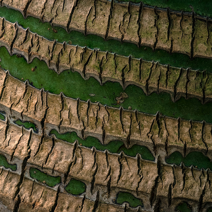 of Rough Aged Tree Bark Wood seamless PBR texture preview