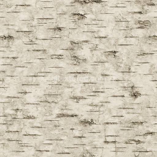 Worn Birch Bark Texture Seamless 1024X1024
