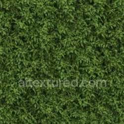 seamless Rough Dense Foliage Texture Seamless texture 8k free download PBR