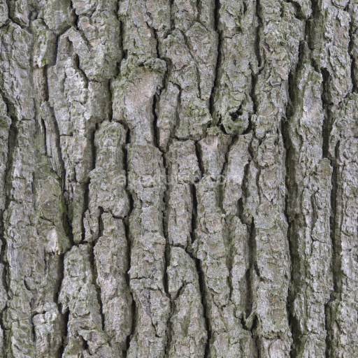 Bark Wood Nature Rough Textured Organic Tree Seamless Realistic Earthy