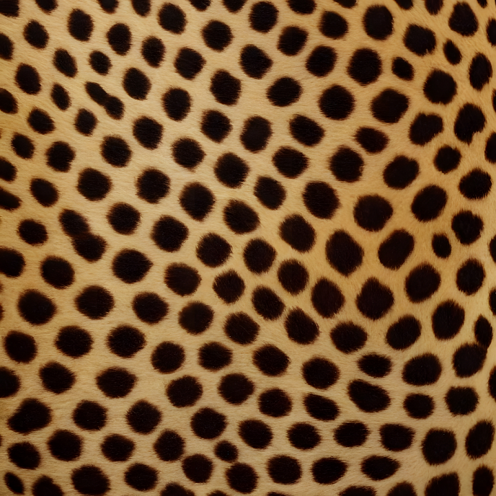 Leopard Print Fur with Natural Spot Pattern seamless PBR texture preview