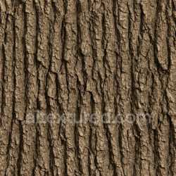 seamless Weathered Oak Bark Texture Seamless texture 8k free download PBR