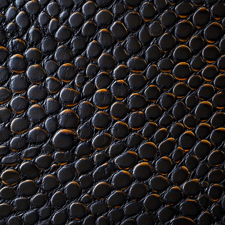 Reptile Scale Skin with Dark Glossy Surface and Organic Pattern seamless PBR texture preview