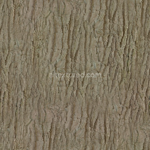 Seamless Bark 002 by Textures – PBR 3D Texture (8K ready)