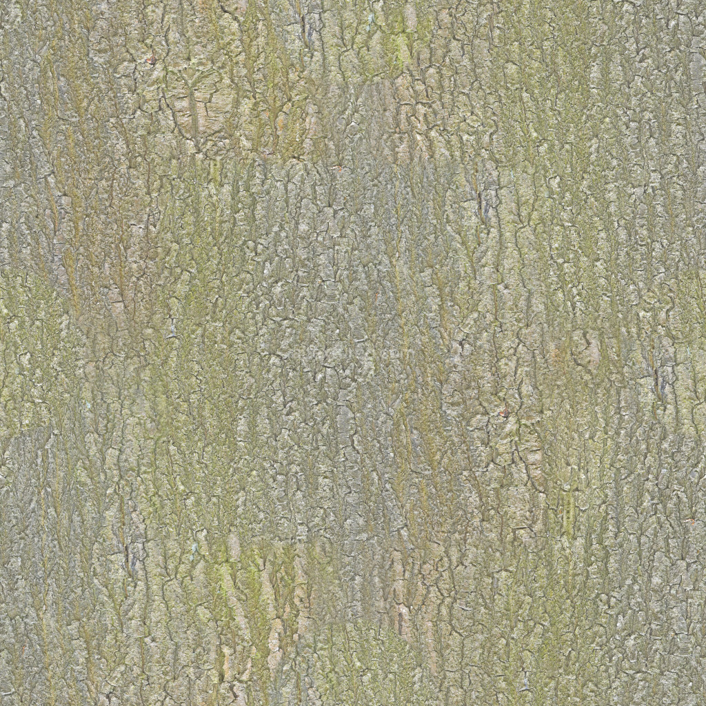 Seamless PBR bark texture with detailed patterns
