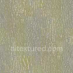 seamless Bark Wood Natural Texture Surface Seamless Organic Rough Detailed Pattern texture 8k free download PBR