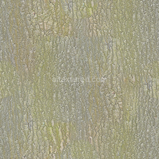 Bark Wood Natural Texture Surface Seamless Organic Rough Detailed Pattern