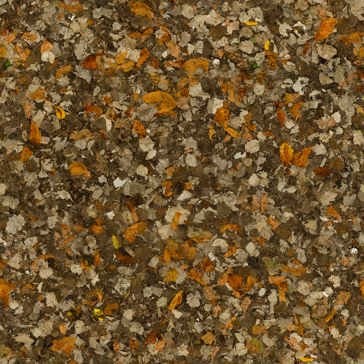 Dirt Forest Leaves seamless PBR texture preview