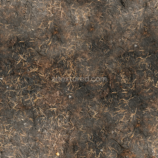 Seamless Burned Ground 01 by Texture Haven – PBR 3D Texture (8K ready)