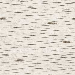 seamless High Resolution Birch Bark Texture Seamless texture 8k free download PBR
