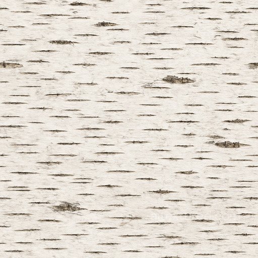 Birch Bark Seamless Texture seamless Bark PBR texture