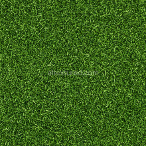 Realistic Turf Texture