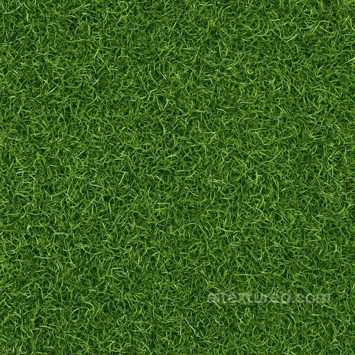 Realistic Turf Texture seamless Grass PBR texture