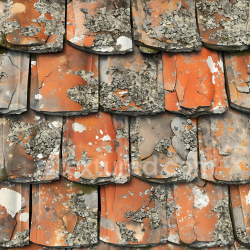 seamless Seamless 3D Weathered Stone Roof Tile PBR Texture with Lichen and Cracks texture 8k free download PBR