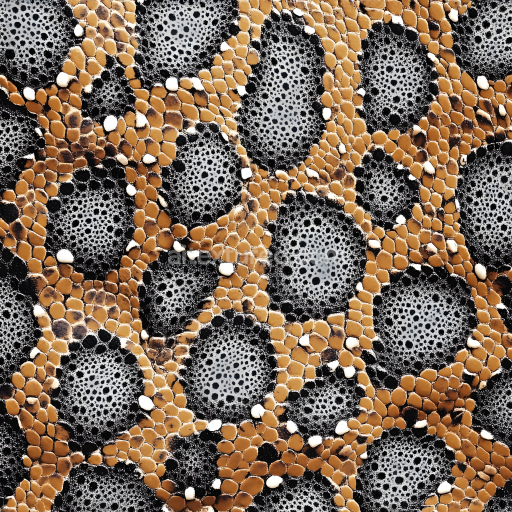 Seamless 3D PBR Reptile Skin Texture Featuring Detailed Scales and Organic Patterning