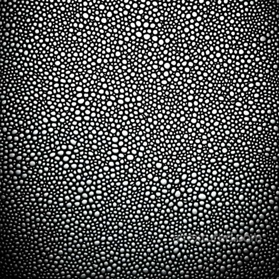 Skin PBR Texture Featuring Detailed Organic Pores and High-Contrast Patterning Skin texture preview