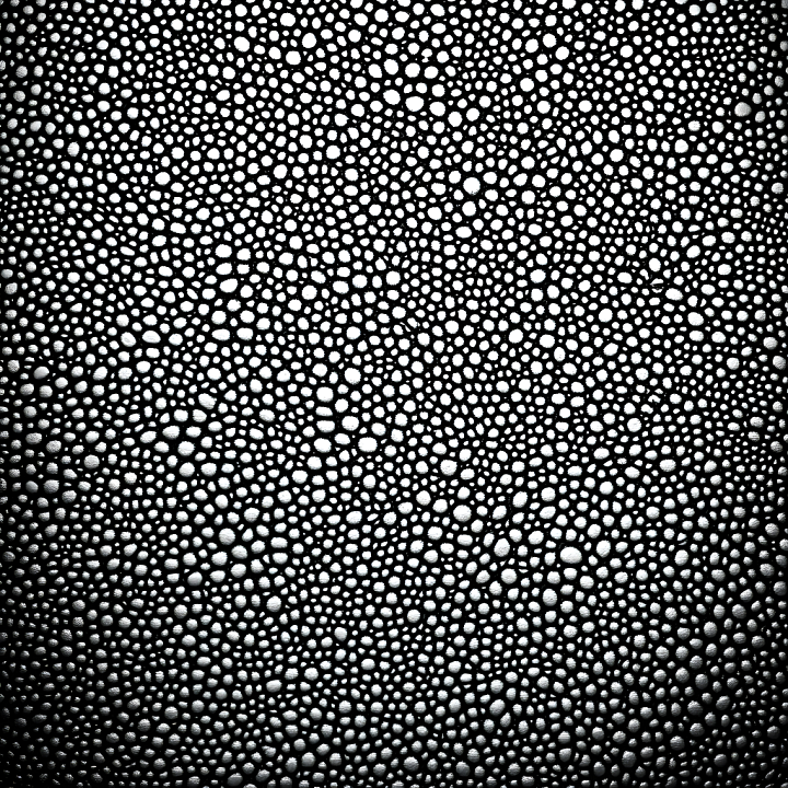 Skin Featuring Detailed Organic Pores and High-Contrast Patterning seamless PBR texture preview