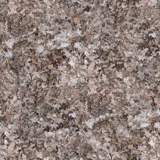 Ground Leaf Natural Earthy Brown Texture Organic Foliage Dirt Rough