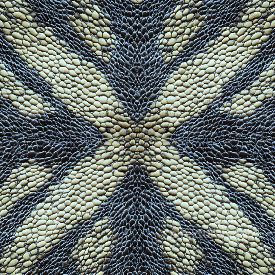reptilian skin PBR texture with detailed scales and organic pattern Skin texture preview