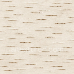 seamless Smooth Birch Bark Texture Seamless 1024X1024 texture 1024x1024 free download PBR