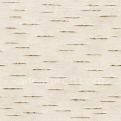 seamless Smooth Birch Bark Texture Seamless texture 8k free download PBR