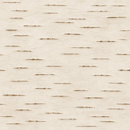 Smooth Birch Bark Seamless Texture seamless Bark PBR texture