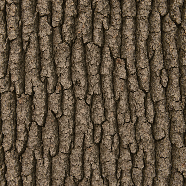 Oak Bark Wood seamless PBR texture preview