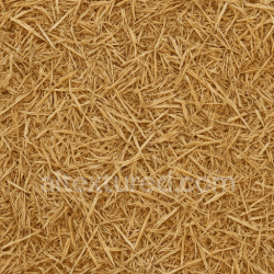 seamless Compact Barn Straw Seamless Texture texture 1024x1024 free download PBR