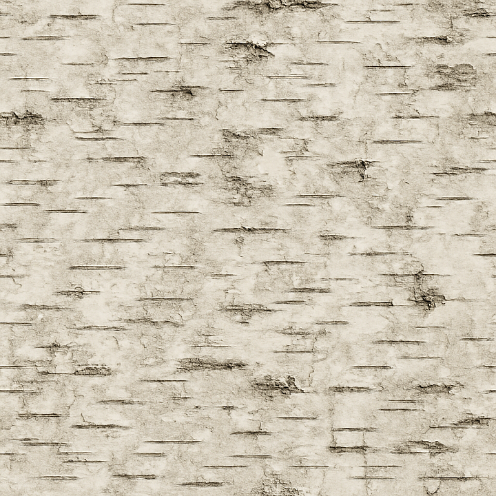 Worn Birch Bark seamless PBR texture preview