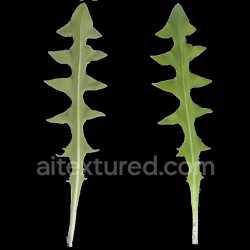 seamless Leaf Green Nature Organic Plant Texture Seamless Tileable Pbr Realistic texture 8k free download PBR